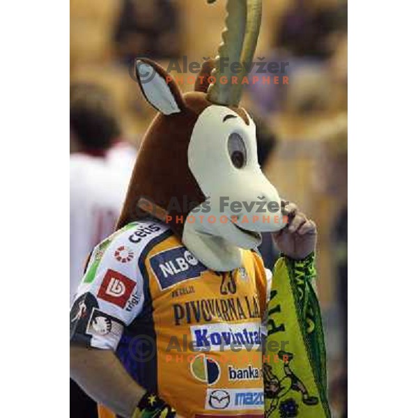 Celje mascot at handball match Celje Pivovarna Lasko (SLO)- Hammarby (SWE) in EHF Championsleague, played in Celje (Slovenia) 11.10.2008 