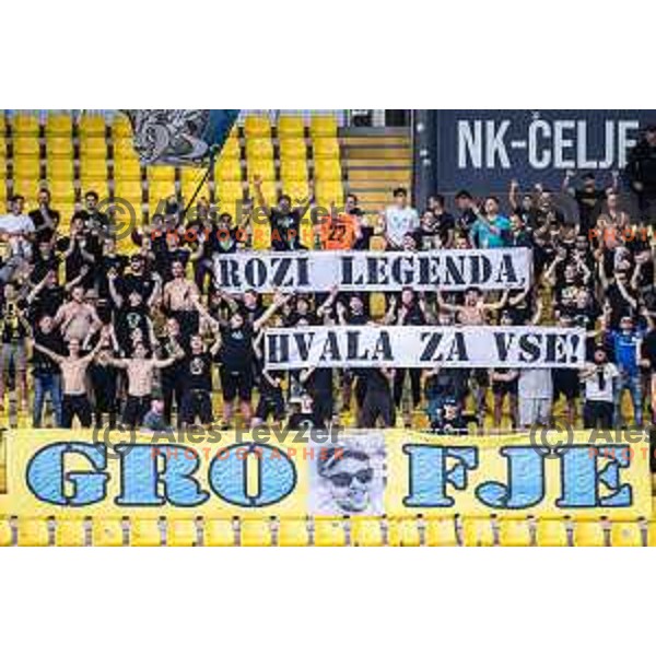in action during UEFA Europa League 2025/26 qualifier football match between NK Celje and Sabah FC in Stadion z’dezele, Celje, Slovenia on July 17, 2025. Photo: Jure Banfi