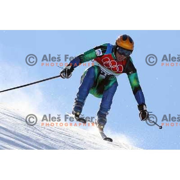 Mitja Valencic (SLO) skiing at 2006 Torino Winter Olympic games men\'s Giant Slalom in Sestriere on February 20, 2006