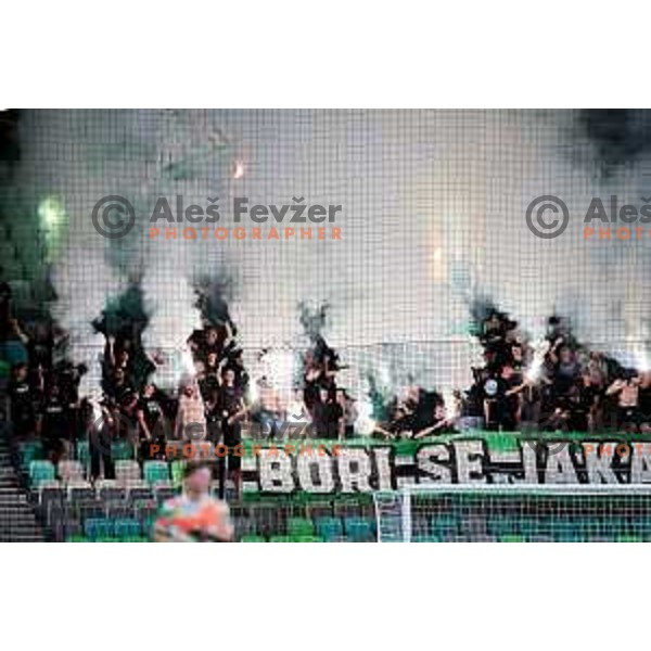 Green Dragons in action during Prva liga Telemach 2025/2026 football match between Olimpija and Mura in SRC Stozice, Ljubljana, Slovenia on July 19, 2025. Photo: Filip Barbalic