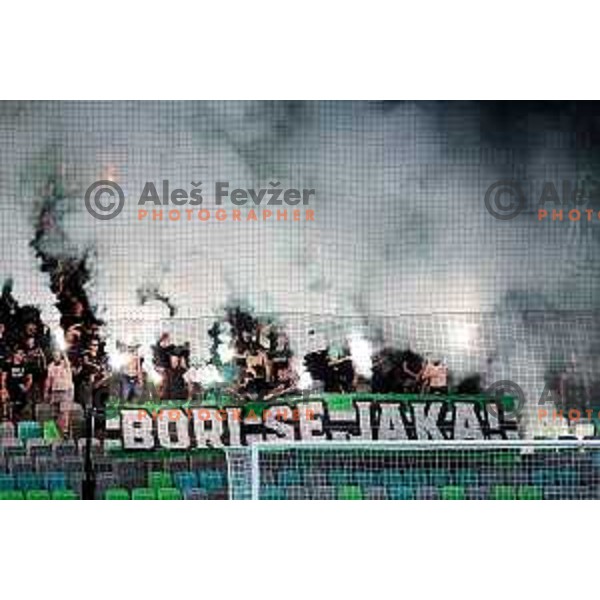 Green Dragons in action during Prva liga Telemach 2025/2026 football match between Olimpija and Mura in SRC Stozice, Ljubljana, Slovenia on July 19, 2025. Photo: Filip Barbalic