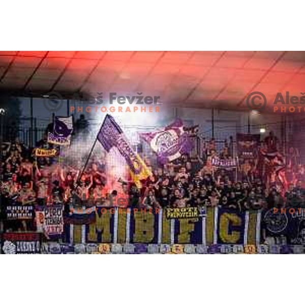 NK Maribor supporters Viole during Prva liga Telemach 2025/26 football match between NK Maribor and NK Celje in Maribor, Ljudski vrt, Slovenia on July 20, 2025. Photo: Jure Banfi