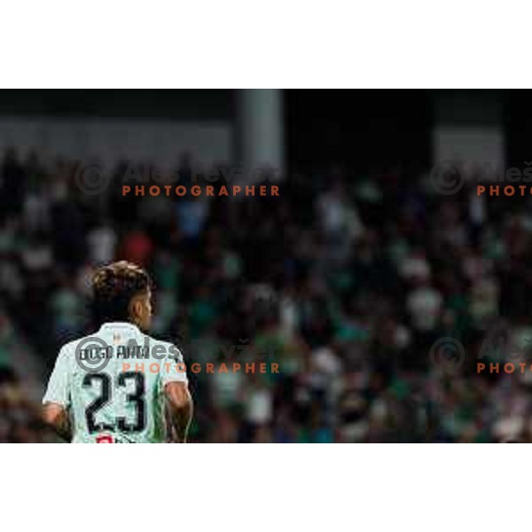 Diogo Costa Pinto of NK Olimpija Ljubljana during UEFA Conference League 2025/2026 second qualifying round match between Olimpija Ljubljana and Inter Escaldes in SRC Stozice, Ljubljana, Slovenia on July 23, 2025. Photo Grega Valancic