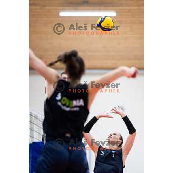 in action during Women\'s friendly volleyball match between Slovenia and Croatia in Center Dras, Maribor, Slovenia on July 24, 2025 Photo:Jure Banfi
