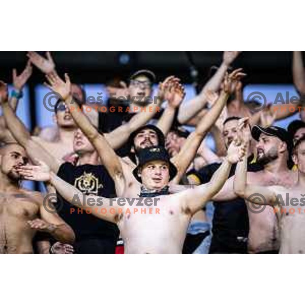 NK Celje supporters Celjski grofje during UEFA Europa League 2025/26 qualifier football match between NK Celje (SLO) and AEK Larnaca FC (CYP) in Stadion z’dezele, Celje, Slovenia on July 24, 2025. Photo: Jure Banfi