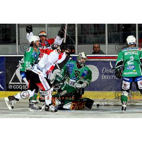 First goal for Innsbruck at ice-hockey game Tilia Olimpija-TWK Innsbruck in EBEL league, played in Hala Tivoli, Ljubljana, Slovenia 24.10.2008. 