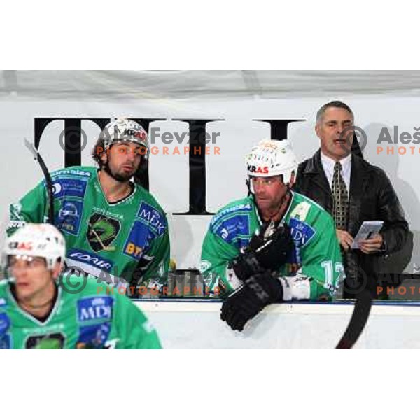 YArema, Elik, Edmonds at ice-hockey game Tilia Olimpija-TWK Innsbruck in EBEL league, played in Hala Tivoli, Ljubljana, Slovenia 24.10.2008. 