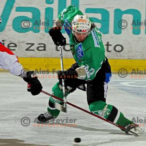 Yarema at ice-hockey game Tilia Olimpija-TWK Innsbruck in EBEL league, played in Hala Tivoli, Ljubljana, Slovenia 24.10.2008. 