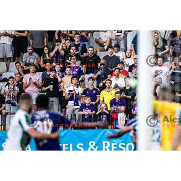 Fans of Maribor during UEFA Conference League 2025/26 qualifier football match between NK Maribor and Paksi FC in Ljudski vrt, Maribor, Slovenia on July 31, 2025. Photo: Jure Banfi