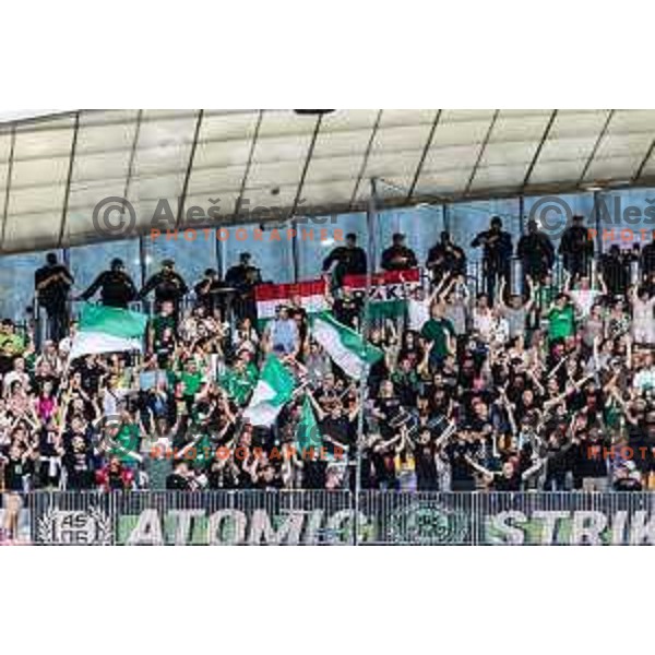 Paksi FC supporters during UEFA Conference League 2025/26 qualifier football match between NK Maribor and Paksi FC in Ljudski vrt, Maribor, Slovenia on July 31, 2025. Photo: Jure Banfi
