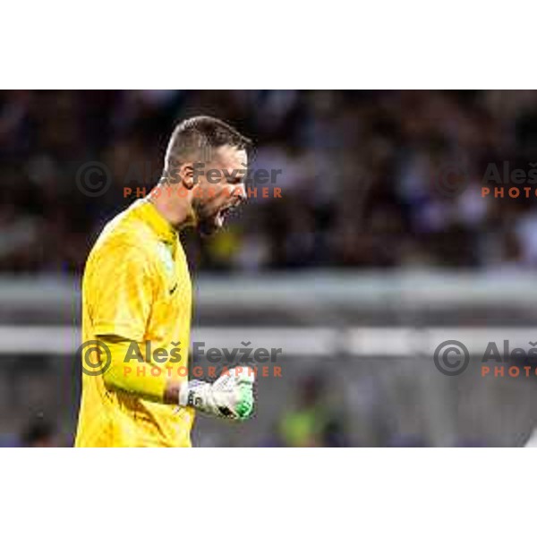 Adam Kovacsik celebrates victory during UEFA Conference League 2025/26 qualifier football match between NK Maribor and Paksi FC in Ljudski vrt, Maribor, Slovenia on July 31, 2025. Photo: Jure Banfi