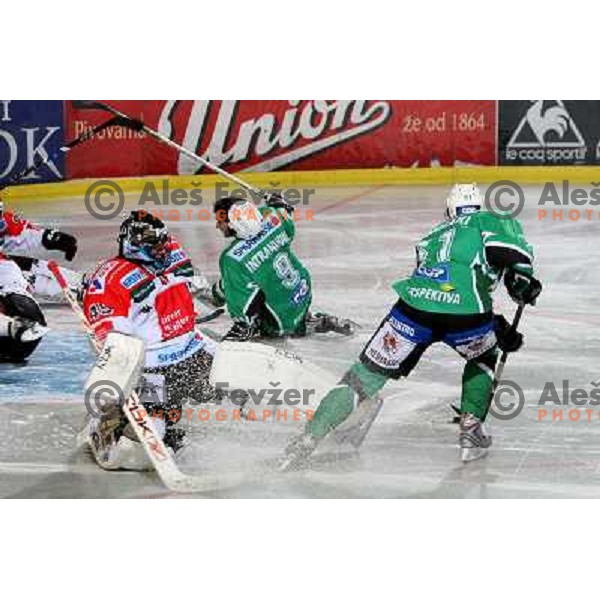  at ice-hockey game Tilia Olimpija- TWK Innsbruck in EBEL league, played in Hala Tivoli, Ljubljana, Slovenia 24.10.2008. Tilia Olimpija won the game 4:2 