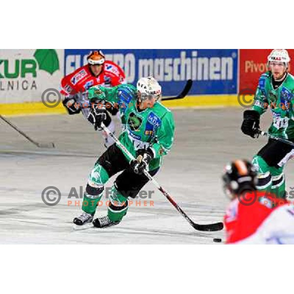 Golicic at ice-hockey game Tilia Olimpija- TWK Innsbruck in EBEL league, played in Hala Tivoli, Ljubljana, Slovenia 24.10.2008. Tilia Olimpija won the game 4:2 
