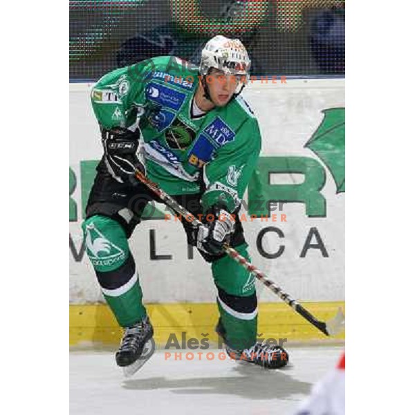 Ziga Pance at ice-hockey game Tilia Olimpija- TWK Innsbruck in EBEL league, played in Hala Tivoli, Ljubljana, Slovenia 24.10.2008. Tilia Olimpija won the game 4:2 