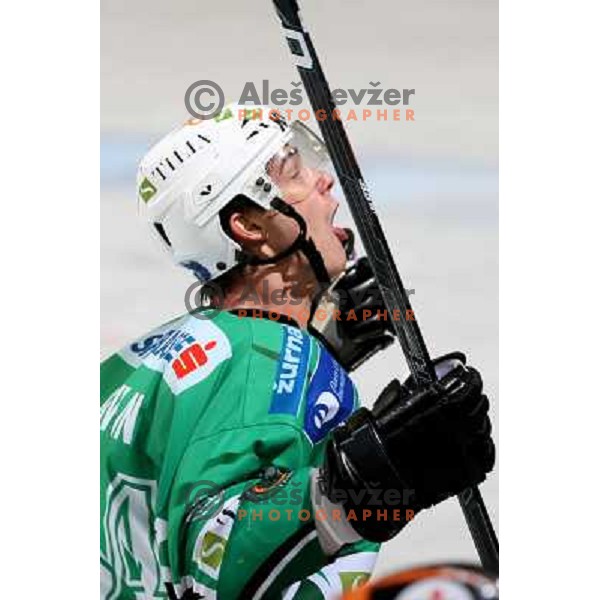 Ziga Pavlin celebrates winning goal at ice-hockey game Tilia Olimpija- TWK Innsbruck in EBEL league, played in Hala Tivoli, Ljubljana, Slovenia 24.10.2008. Tilia Olimpija won the game 4:2 