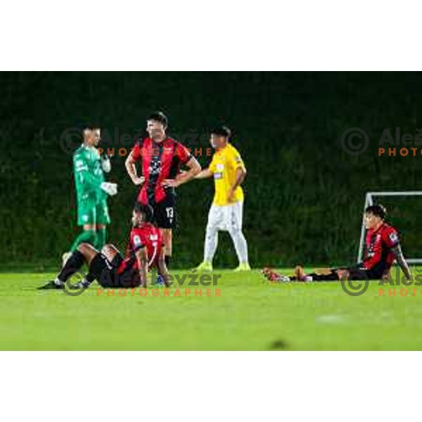 in action during Prva liga Telemach 2025/2026 football match between Primorje and Bravo in Ajdovscina, Slovenia on August 2, 2025