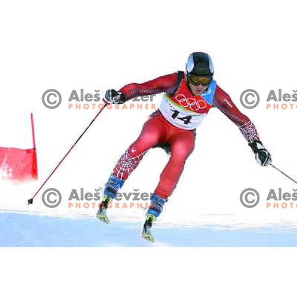 Goergl (AUT) at 2006 Torino Winter Olympic games men\'s Giant Slalom in Sestriere on February 20, 2006