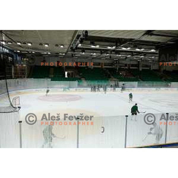 Dragons are back on ice - HK SZ Olimpija during summer practice session in Hala Tivoli, Ljubljana, Slovenia on August 4, 2025