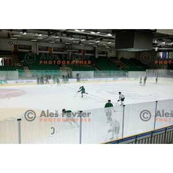Dragons are back on ice - HK SZ Olimpija during summer practice session in Hala Tivoli, Ljubljana, Slovenia on August 4, 2025