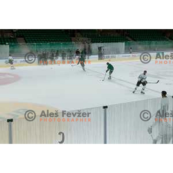 Dragons are back on ice - HK SZ Olimpija during summer practice session in Hala Tivoli, Ljubljana, Slovenia on August 4, 2025
