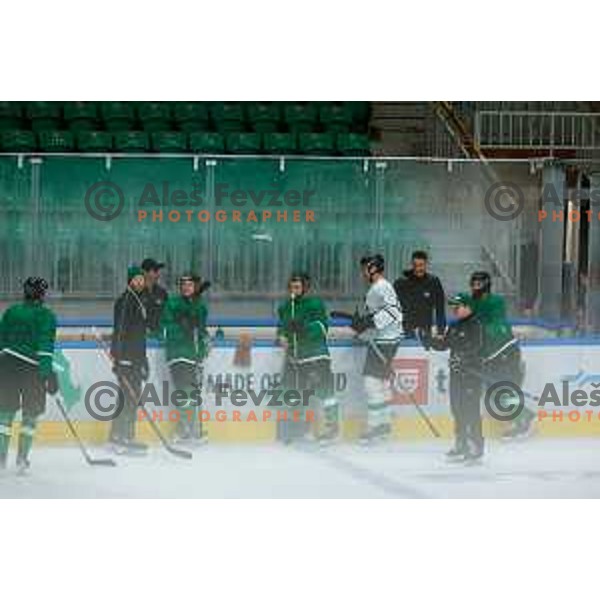Dragons are back on ice - HK SZ Olimpija during summer practice session in Hala Tivoli, Ljubljana, Slovenia on August 4, 2025