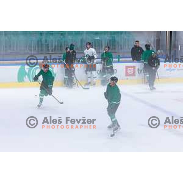 Dragons are back on ice - HK SZ Olimpija during summer practice session in Hala Tivoli, Ljubljana, Slovenia on August 4, 2025