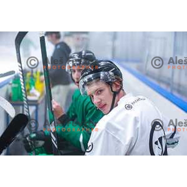 Dragons are back on ice - HK SZ Olimpija during summer practice session in Hala Tivoli, Ljubljana, Slovenia on August 4, 2025