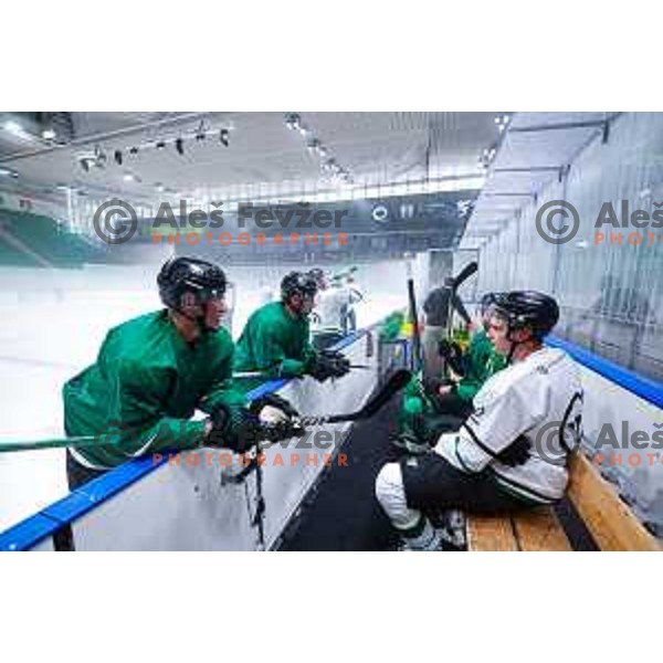 Dragons are back on ice - HK SZ Olimpija during summer practice session in Hala Tivoli, Ljubljana, Slovenia on August 4, 2025