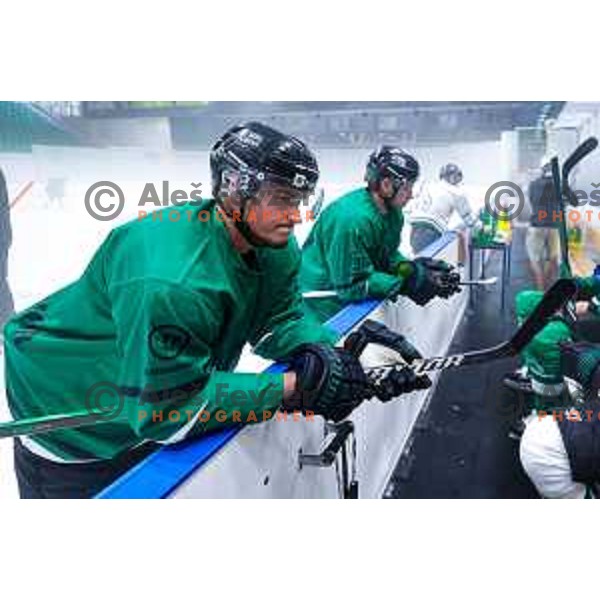 Dragons are back on ice - HK SZ Olimpija during summer practice session in Hala Tivoli, Ljubljana, Slovenia on August 4, 2025