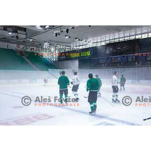 Dragons are back on ice - HK SZ Olimpija during summer practice session in Hala Tivoli, Ljubljana, Slovenia on August 4, 2025