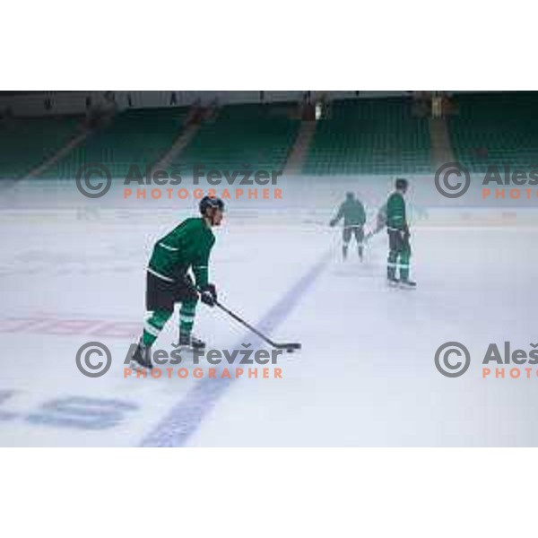Dragons are back on ice - HK SZ Olimpija during summer practice session in Hala Tivoli, Ljubljana, Slovenia on August 4, 2025