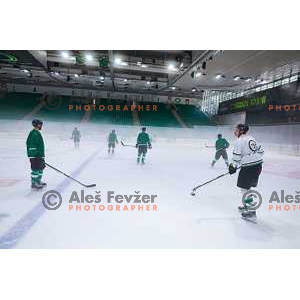 Dragons are back on ice - HK SZ Olimpija during summer practice session in Hala Tivoli, Ljubljana, Slovenia on August 4, 2025