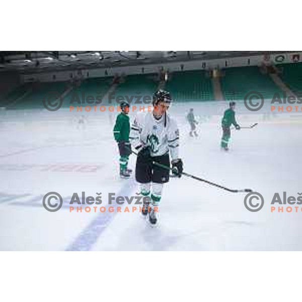 Dragons are back on ice - HK SZ Olimpija during summer practice session in Hala Tivoli, Ljubljana, Slovenia on August 4, 2025