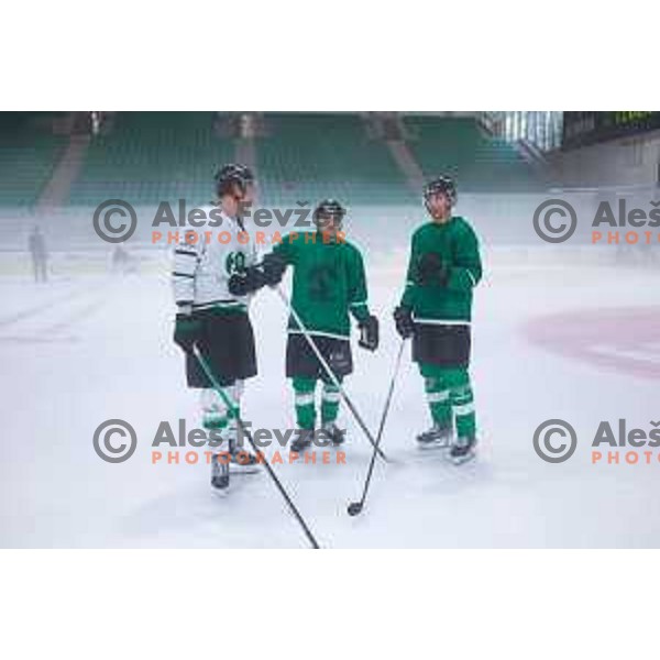 Dragons are back on ice - HK SZ Olimpija during summer practice session in Hala Tivoli, Ljubljana, Slovenia on August 4, 2025