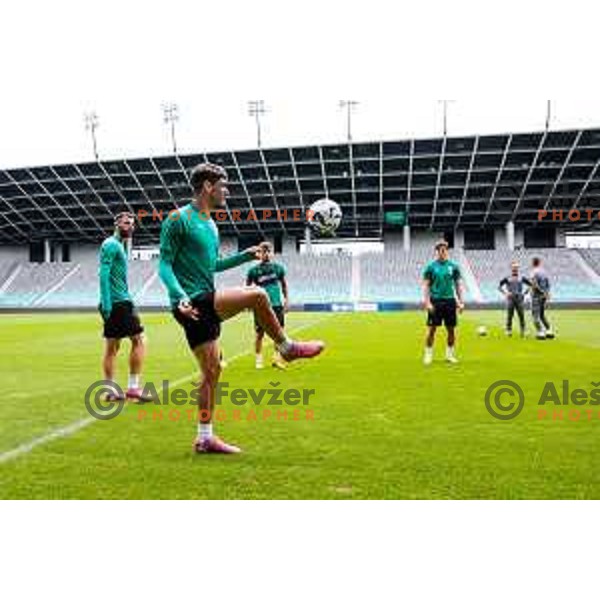Agustin Doffo of Olimpija during practice session of NK Olimpija before UEFA Conference League play-off in Ljubljana, Slovenia on August 6, 2025 