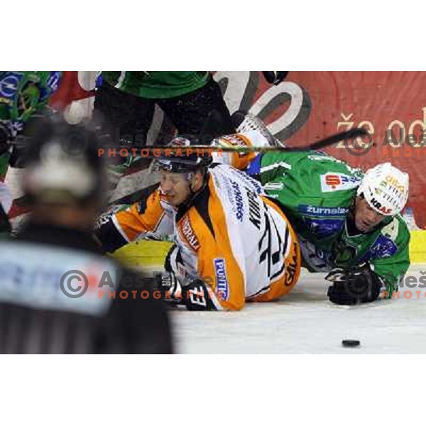 Elik at ice-hockey match Tilia Olimpija- Graz 99ers in Ebel league, played in Hala Tivoli, Ljubljana 26.10.2008 