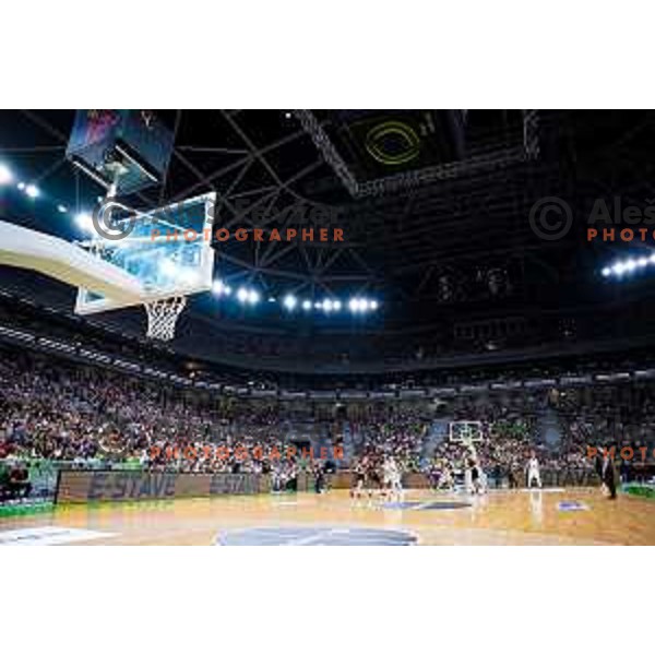 in action during friendly basketball match between Slovenia and Germany in Arena Stozice, Ljubljana, Slovenia on August 8, 2025. Photo: Filip Barbalic