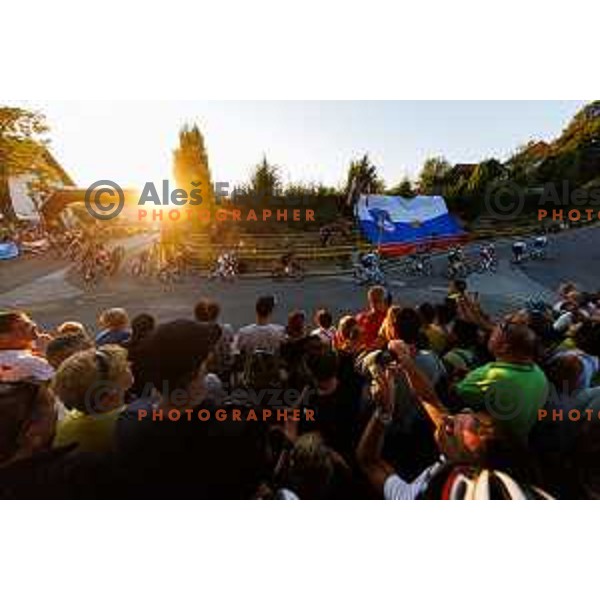 during 7. Tadej Pogacar Cup in Cultural Centre, Komenda, Slovenia, on August 8. 2025. Photo Grega Valancic