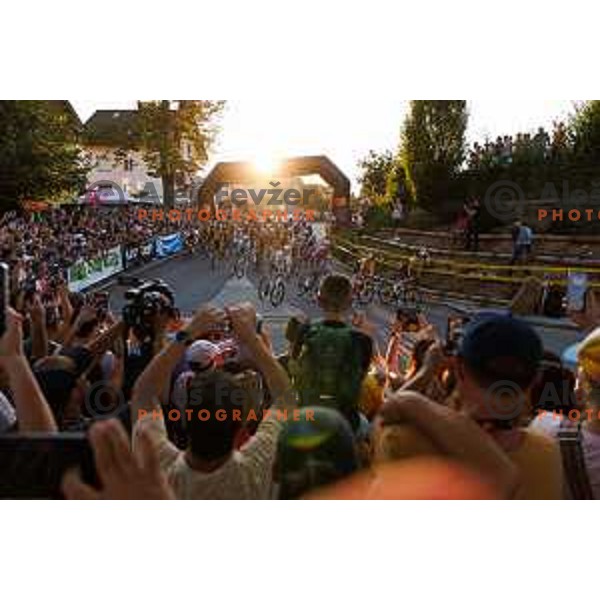 during 7. Tadej Pogacar Cup in Cultural Centre, Komenda, Slovenia, on August 8. 2025. Photo Grega Valancic