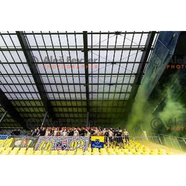 Celjski grofje during Prva liga Telemach 2025/26 football match between NK Celje and NK Mura in Stadion z’dezele, Celje, Slovenia on August 10, 2025. Photo: Jure Banfi