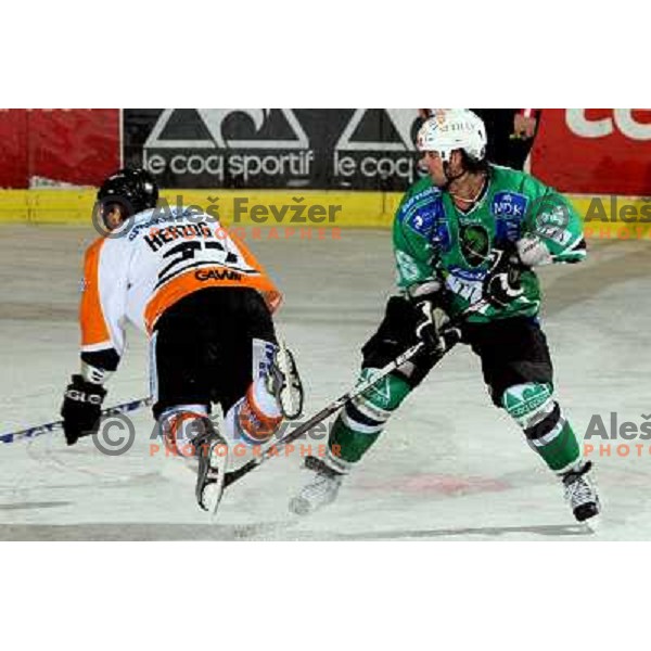 Herzog, Banham at ice-hockey match Tilia Olimpija- Graz 99ers in Ebel league, played in Hala Tivoli, Ljubljana 26.10.2008. Tilia Olimpija won 5:2 