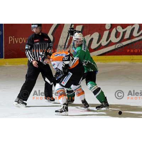 at ice-hockey match Tilia Olimpija- Graz 99ers in Ebel league, played in Hala Tivoli, Ljubljana 26.10.2008. Tilia Olimpija won 5:2 