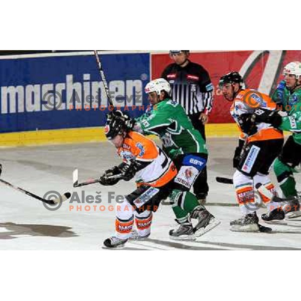 Jan, Banham at ice-hockey match Tilia Olimpija- Graz 99ers in Ebel league, played in Hala Tivoli, Ljubljana 26.10.2008. Tilia Olimpija won 5:2 