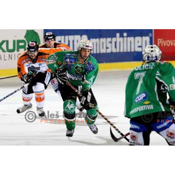 Pance at ice-hockey match Tilia Olimpija- Graz 99ers in Ebel league, played in Hala Tivoli, Ljubljana 26.10.2008. Tilia Olimpija won 5:2 