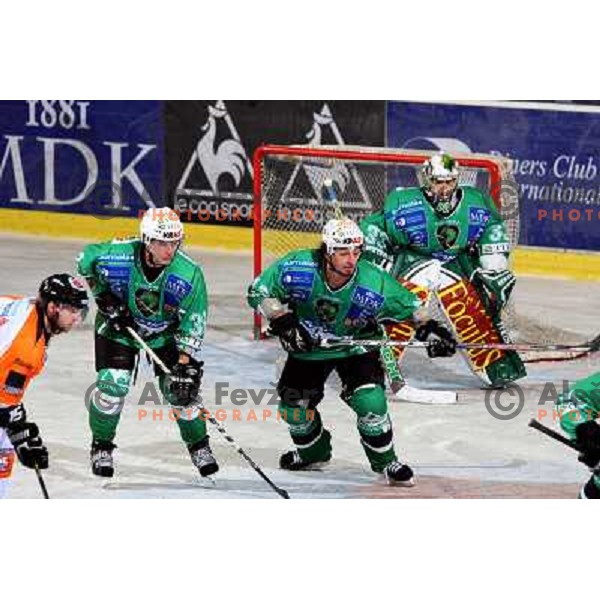 Yarema at ice-hockey match Tilia Olimpija- Graz 99ers in Ebel league, played in Hala Tivoli, Ljubljana 26.10.2008. Tilia Olimpija won 5:2 