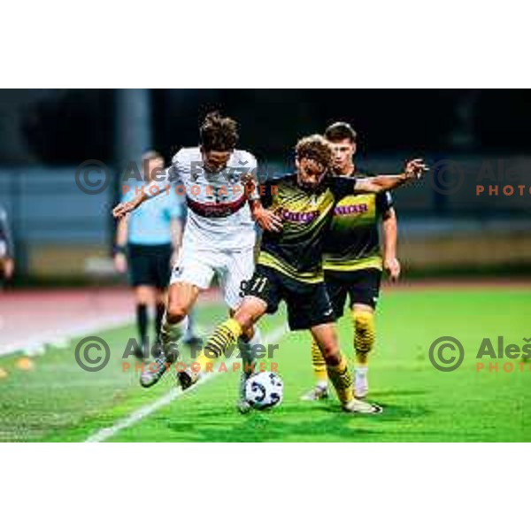in action during Prva liga Telemach 2025/2026 football match between Kalcer Radomlje and Primorje in Domzale, Slovenia on August 15, 2025