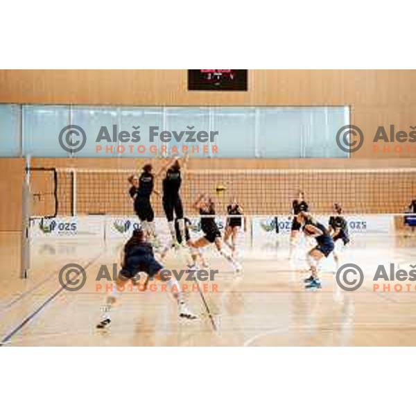 of Slovenia Women\'s National Volleyball team during preparation match between Slovenia and Belgium in Ljubljana, Slovenia on August 16, 2025