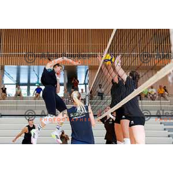 of Slovenia Women\'s National Volleyball team during preparation match between Slovenia and Belgium in Ljubljana, Slovenia on August 16, 2025