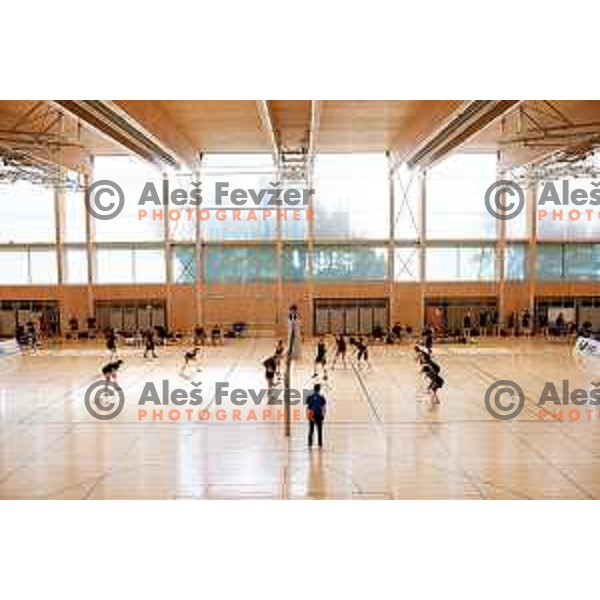 of Slovenia Women\'s National Volleyball team during preparation match between Slovenia and Belgium in Ljubljana, Slovenia on August 16, 2025