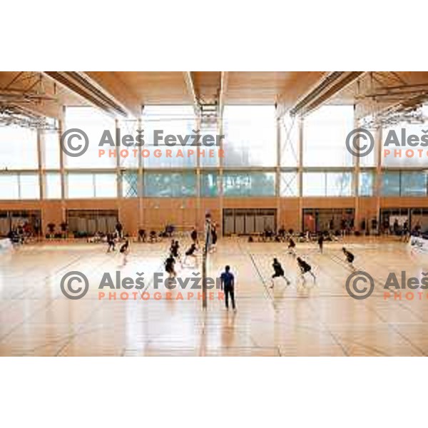 of Slovenia Women\'s National Volleyball team during preparation match between Slovenia and Belgium in Ljubljana, Slovenia on August 16, 2025